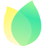 飞火动态壁纸电脑版2.3.7