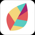 飞火动态壁纸2.0.7.0